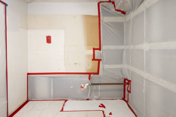  Savage, MN Mold Removal Pros